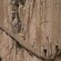 People walk down a wooden path and stairs set into the side of a cliff
